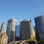 National Elevator Consulting Elevator Consultant